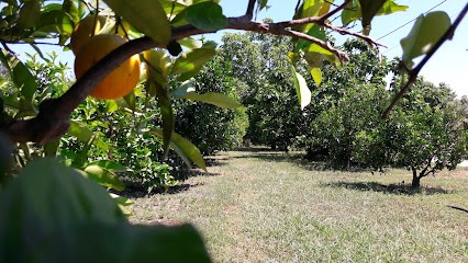Ô Régals d'Arena, Ferme Bio à Tallone