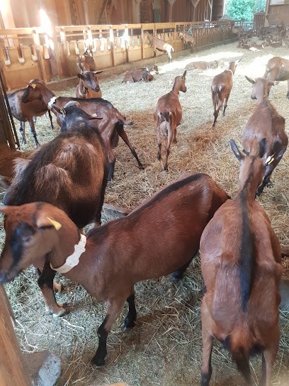 EARL Lebbe, Ferme Bio à Villefranque