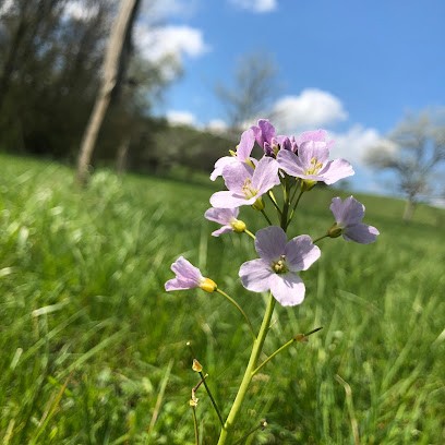 Chez Jeanne, Ferme Bio à Vittel