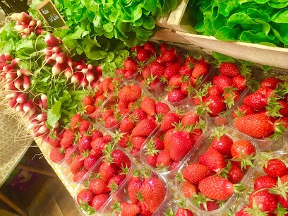 Dolmen et Potager, Ferme Bio à Trévou-Tréguignec