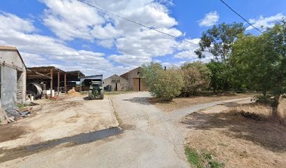Pascal Brochard, Ferme Bio aux Brouzils