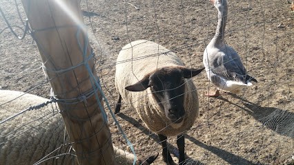 Les Fleurettes, Ferme Bio à Montberon