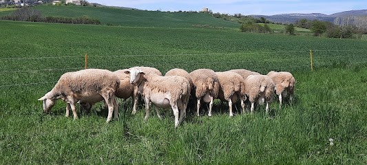 Le Moulin Bordelo, Ferme Bio à Simiane-la-Rotonde