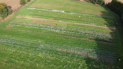 La Ferme Bellevue, Ferme Bio à Mortain-Bocage