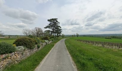 Ferme des Trois Moineaux, Ferme Bio au Verdier