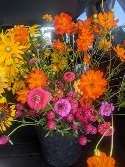 Les Bordes Fleuries, Ferme Bio à Saint-Sulpice-la-Pointe