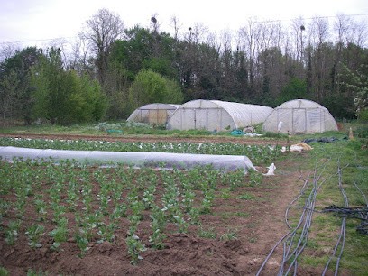 Le jardin des Clos, Ferme Bio à Scorbé-Clairvaux