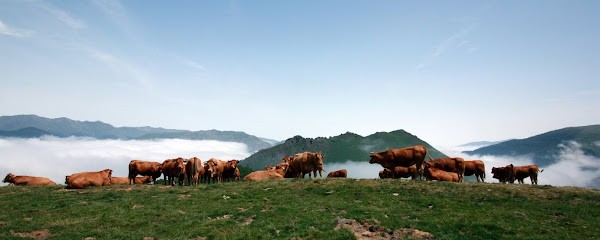 La ferme du lac d'Estaing, Ferme Bio à Estaing