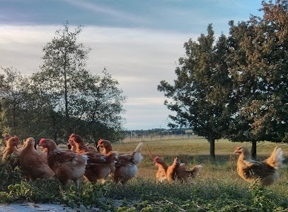 La Haute Roue, Ferme Bio à Mauges-sur-Loire