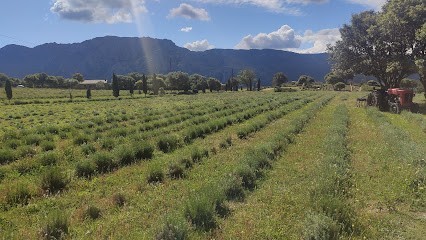 Distillery Vitalba: Essential Oils of Corsica, Ferme Bio à Sartène