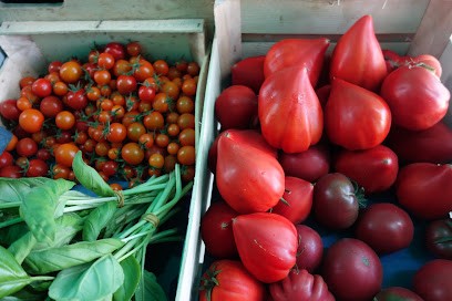 le champ des papilles, Ferme Bio à Bouguenais