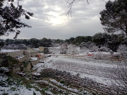Mas de Carles, Ferme Bio à Villeneuve-lès-Avignon