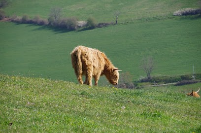 La Ferme de la Bruyère, Ferme Bio à Saint-Paul-en-Jarez