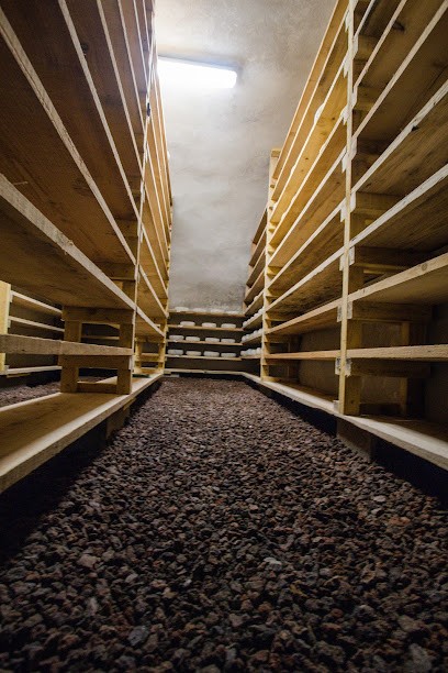 Ferme De Richagneux, Ferme Bio à Sainte-Catherine