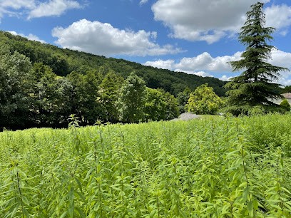 La Maison de la Verveine, Ferme Bio à Beauville