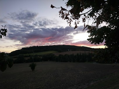 Ferme Bio Nicoy Sud, Ferme Bio à Pujols