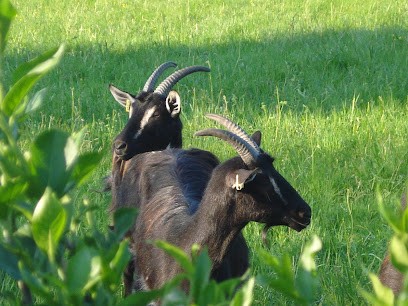 Ferme de Bêcheron, Ferme Bio à Azé