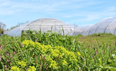 Ferme de Keranod, Ferme Bio à Lannion
