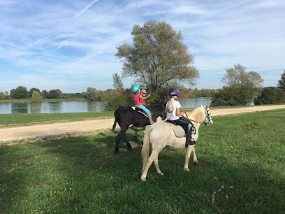 La Ferme de l'Auneau, Ferme Bio à Buzançais