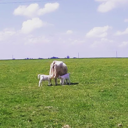 Ferme De Solférino, Ferme Bio à Rocquigny