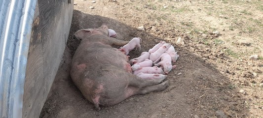 Ferme la Croisée des Vents, Ferme Bio à Longes