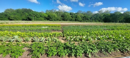 Le domaine de Permavillam, Ferme Bio à Camlez
